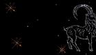 Зодиакальный гороскоп для козерога мужчины и щенщины Новый гороскоп для козерога на год